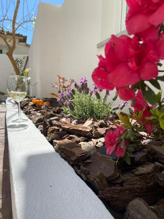 Casas Dos Seixos Villa Moledo  Exterior photo